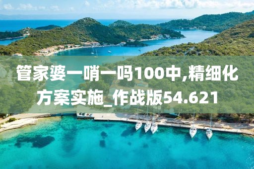 管家婆一哨一吗100中,精细化方案实施_作战版54.621