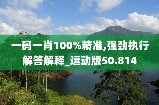 一码一肖100%精准,强劲执行解答解释_运动版50.814