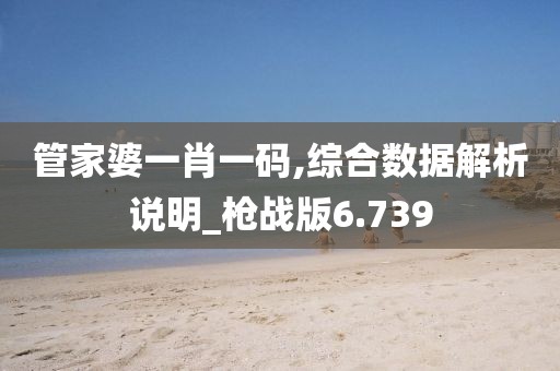 管家婆一肖一码,综合数据解析说明_枪战版6.739
