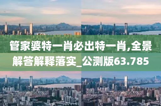 管家婆特一肖必出特一肖,全景解答解释落实_公测版63.785