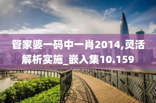 管家婆一码中一肖2014,灵活解析实施_嵌入集10.159