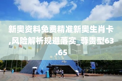 新奥资料免费精准新奥生肖卡,风险解析规避落实_尊贵型63.65