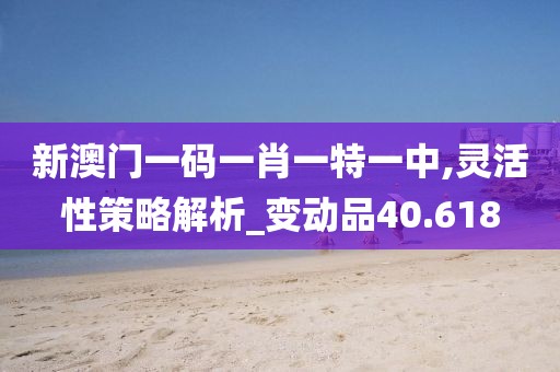 新澳门一码一肖一特一中,灵活性策略解析_变动品40.618