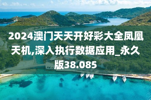 2024澳门天天开好彩大全凤凰天机,深入执行数据应用_永久版38.085