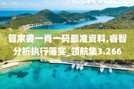 管家婆一肖一码最准资料,睿智分析执行落实_领航集3.266