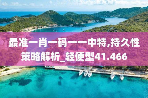 最准一肖一码一一中特,持久性策略解析_轻便型41.466