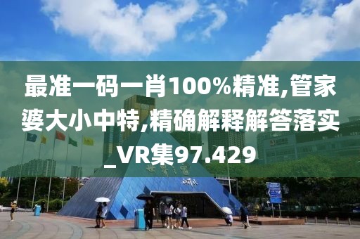 最准一码一肖100%精准,管家婆大小中特,精确解释解答落实_VR集97.429