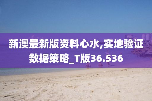 新澳最新版资料心水,实地验证数据策略_T版36.536