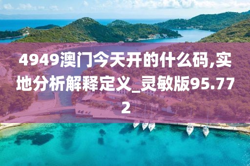 4949澳门今天开的什么码,实地分析解释定义_灵敏版95.772