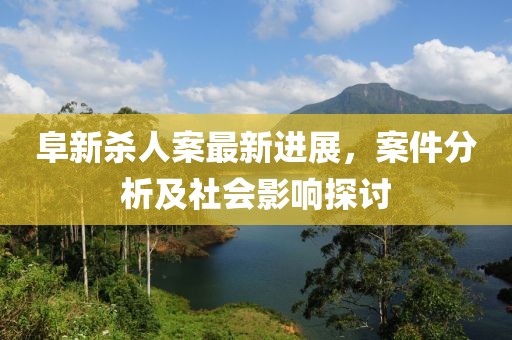 阜新杀人案最新进展，案件分析及社会影响探讨