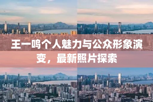 王一鸣个人魅力与公众形象演变，最新照片探索