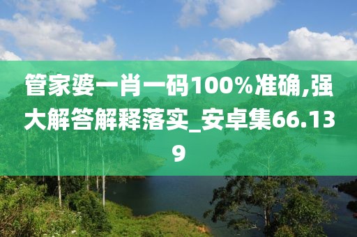 管家婆一肖一码100%准确,强大解答解释落实_安卓集66.139