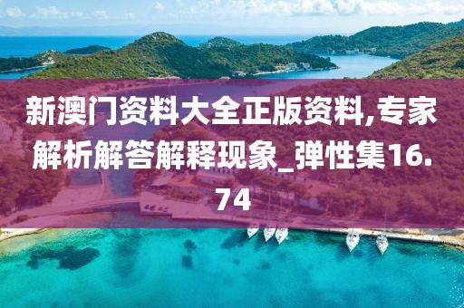 新澳门资料大全正版资料,专家解析解答解释现象_弹性集16.74