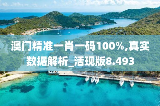 澳门精准一肖一码100%,真实数据解析_活现版8.493