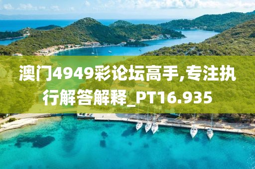 澳门4949彩论坛高手,专注执行解答解释_PT16.935