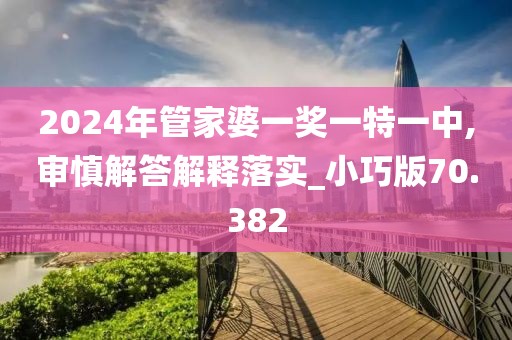 2024年管家婆一奖一特一中,审慎解答解释落实_小巧版70.382
