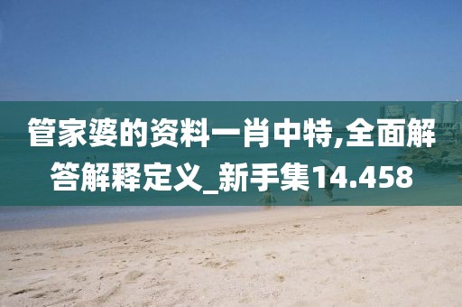 管家婆的资料一肖中特,全面解答解释定义_新手集14.458