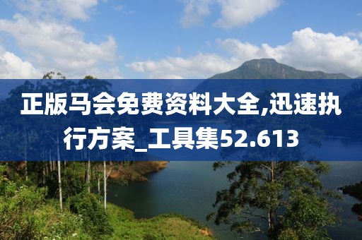 正版马会免费资料大全,迅速执行方案_工具集52.613