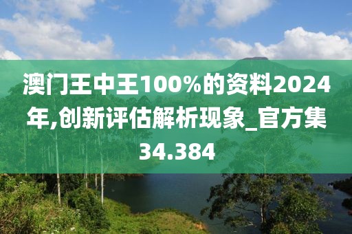 澳门王中王100%的资料2024年,创新评估解析现象_官方集34.384