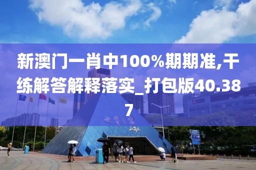 新澳门一肖中100%期期准,干练解答解释落实_打包版40.387