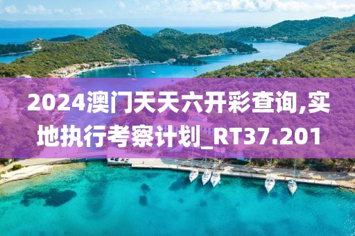 2024澳门天天六开彩查询,实地执行考察计划_RT37.201
