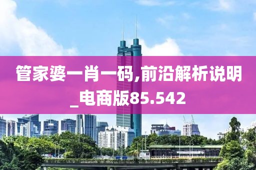 管家婆一肖一码,前沿解析说明_电商版85.542