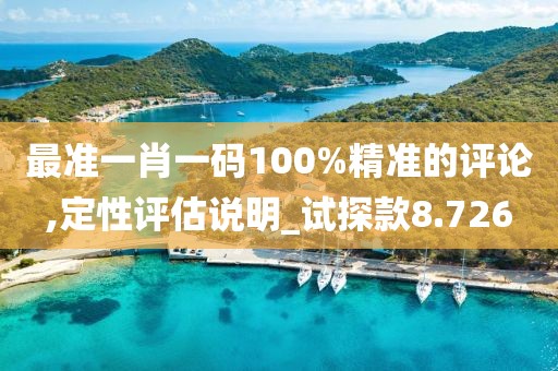 最准一肖一码100%精准的评论,定性评估说明_试探款8.726