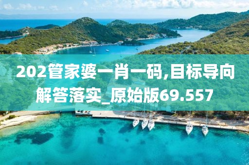 202管家婆一肖一码,目标导向解答落实_原始版69.557
