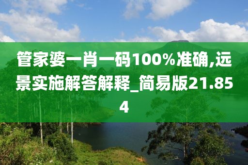 管家婆一肖一码100%准确,远景实施解答解释_简易版21.854