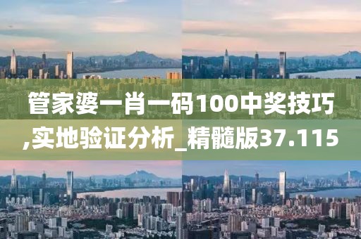管家婆一肖一码100中奖技巧,实地验证分析_精髓版37.115