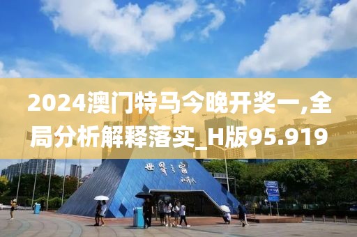 2024澳门特马今晚开奖一,全局分析解释落实_H版95.919