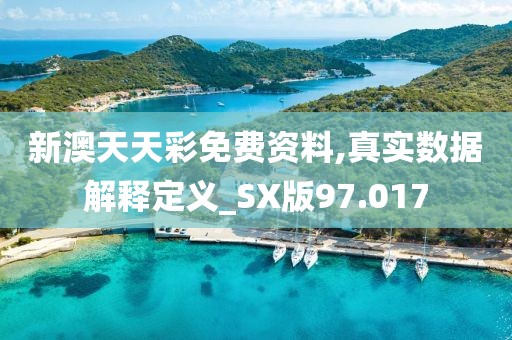新澳天天彩免费资料,真实数据解释定义_SX版97.017