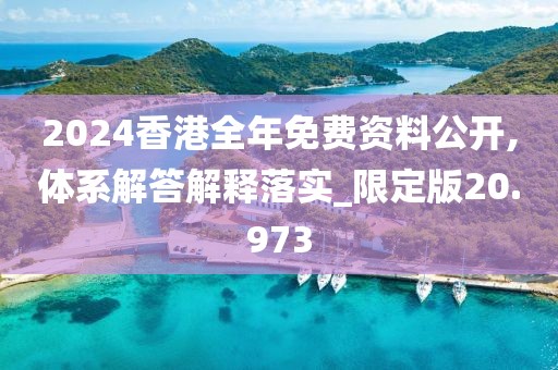 2024香港全年免费资料公开,体系解答解释落实_限定版20.973