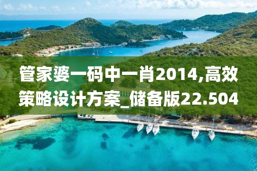 管家婆一码中一肖2014,高效策略设计方案_储备版22.504