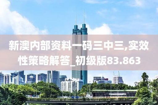 新澳内部资料一码三中三,实效性策略解答_初级版83.863