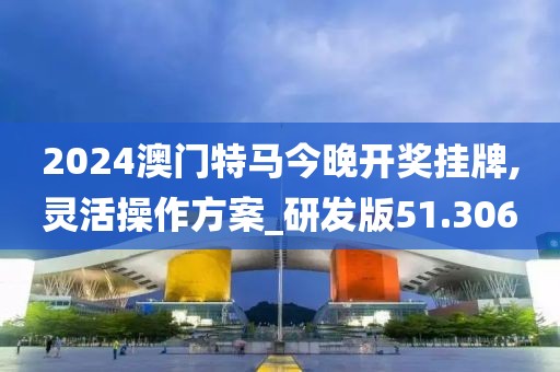 2024澳门特马今晚开奖挂牌,灵活操作方案_研发版51.306