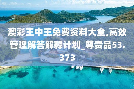 澳彩王中王免费资料大全,高效管理解答解释计划_尊贵品53.373