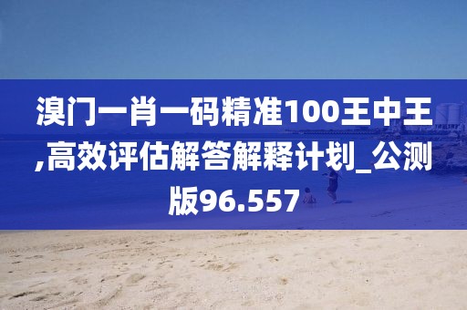 溴门一肖一码精准100王中王,高效评估解答解释计划_公测版96.557