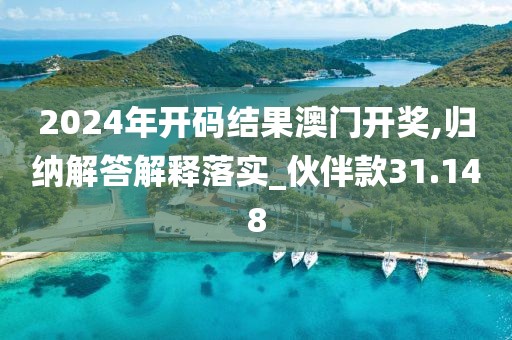 2024年开码结果澳门开奖,归纳解答解释落实_伙伴款31.148
