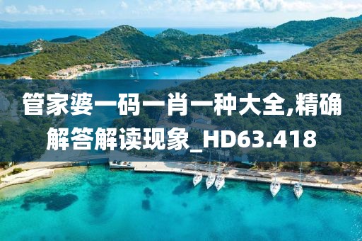 管家婆一码一肖一种大全,精确解答解读现象_HD63.418