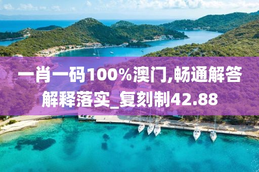 一肖一码100%澳门,畅通解答解释落实_复刻制42.88