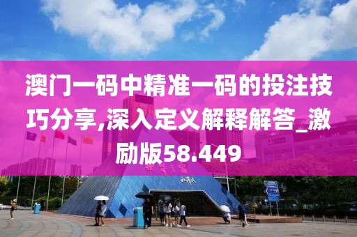 澳门一码中精准一码的投注技巧分享,深入定义解释解答_激励版58.449
