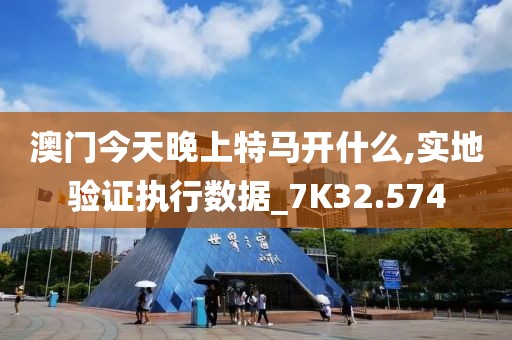 澳门今天晚上特马开什么,实地验证执行数据_7K32.574