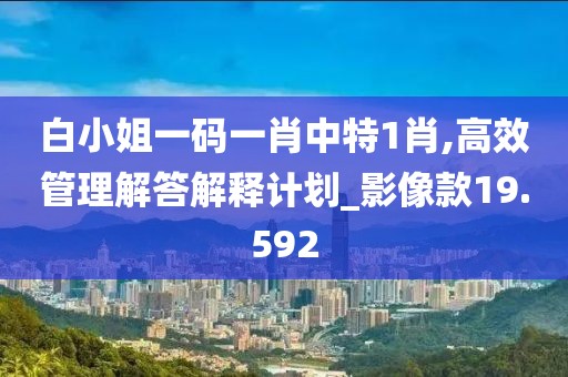 白小姐一码一肖中特1肖,高效管理解答解释计划_影像款19.592