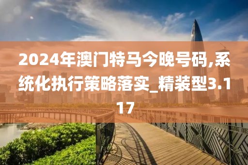 2024年澳门特马今晚号码,系统化执行策略落实_精装型3.117