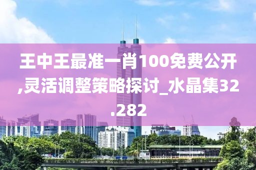 王中王最准一肖100免费公开,灵活调整策略探讨_水晶集32.282