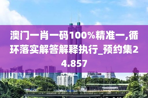 澳门一肖一码100%精准一,循环落实解答解释执行_预约集24.857
