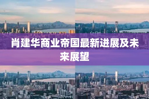 肖建华商业帝国最新进展及未来展望