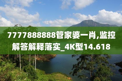 7777888888管家婆一肖,监控解答解释落实_4K型14.618