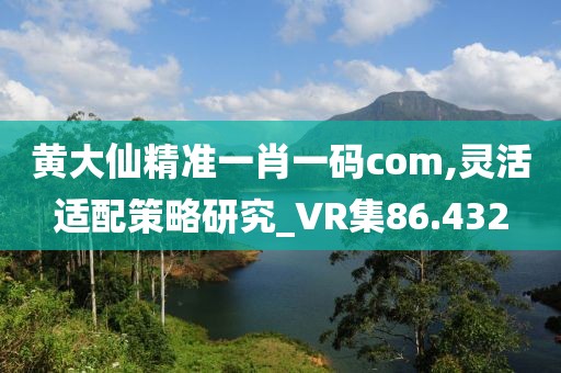 黄大仙精准一肖一码com,灵活适配策略研究_VR集86.432